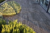 006DSC0742
